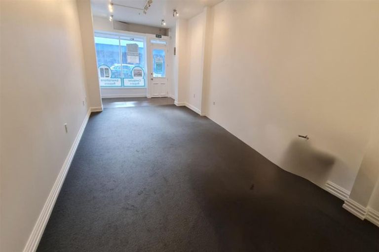Photo of property in 107 Vivian Street, Te Aro, Wellington, 6011