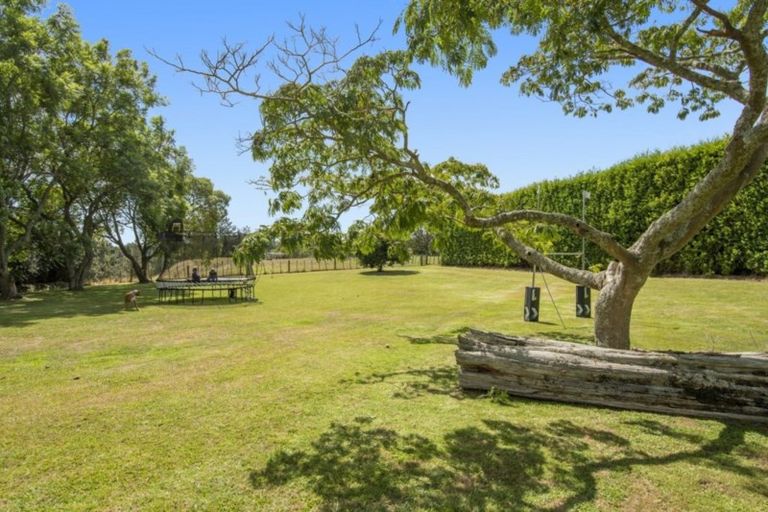 Photo of property in 49 Iona Drive, Pyes Pa, Tauranga, 3173