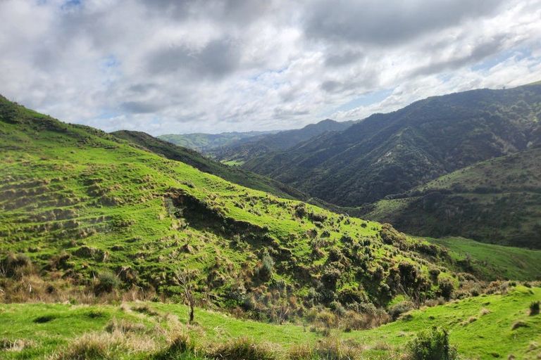 Photo of property in 987 Mangaehu Road, Puniwhakau, Stratford, 4392