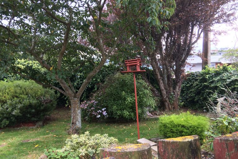 Photo of property in 239 Highcliff Road, Shiel Hill, Dunedin, 9013