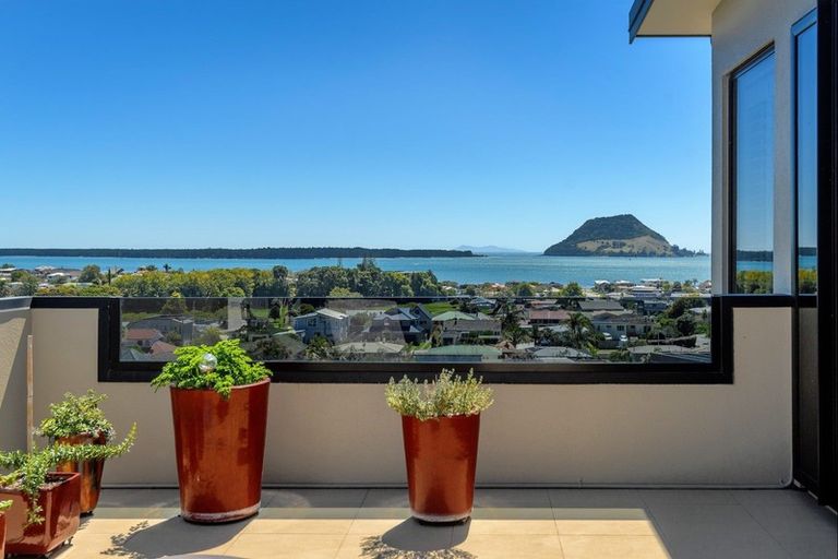 Photo of property in 40a Pillans Road, Otumoetai, Tauranga, 3110