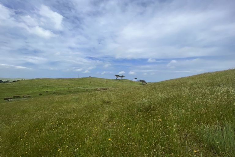 Photo of property in 486 Scottys Camp Road, Parore, Dargaville, 0377