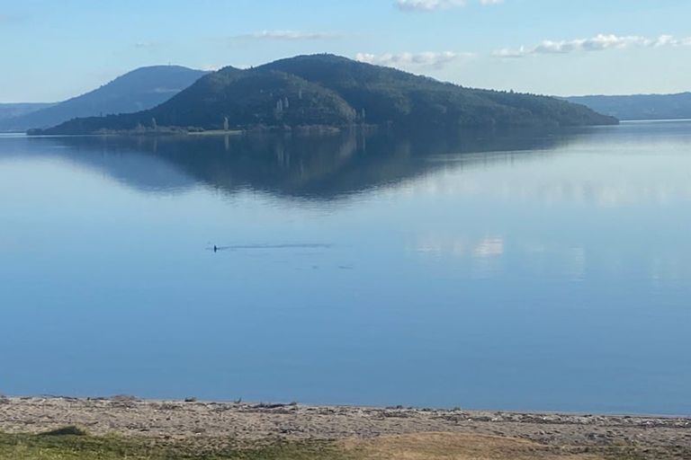 Photo of property in 119 State Highway 33, Tikitere, Rotorua, 3074