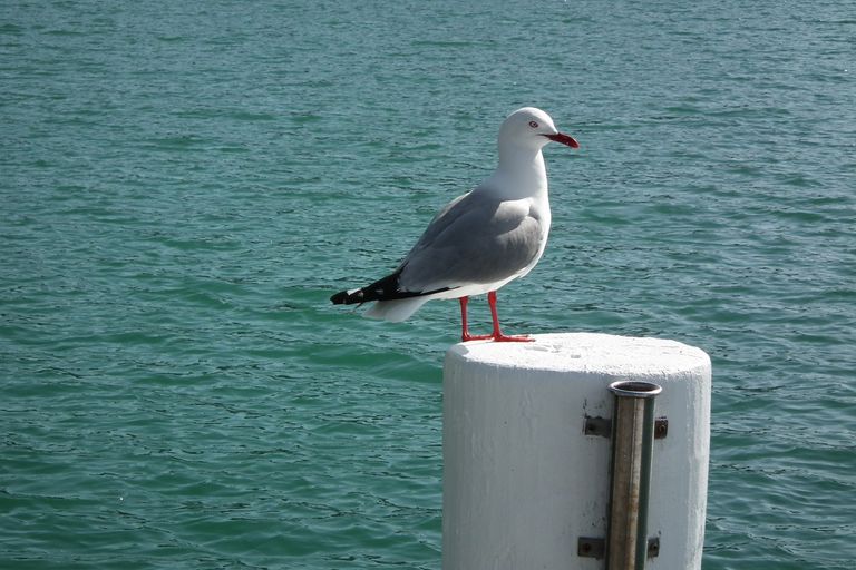 Photo of property in 92 North Road, Kaitaia, 0410