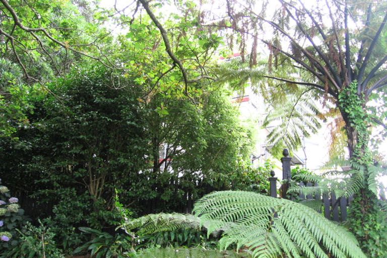 Photo of property in 8 Goldies Brae, Thorndon, Wellington, 6011