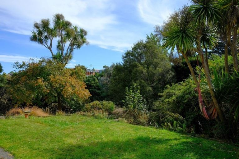 Photo of property in 131 Scott Street, Waverley, Dunedin, 9013