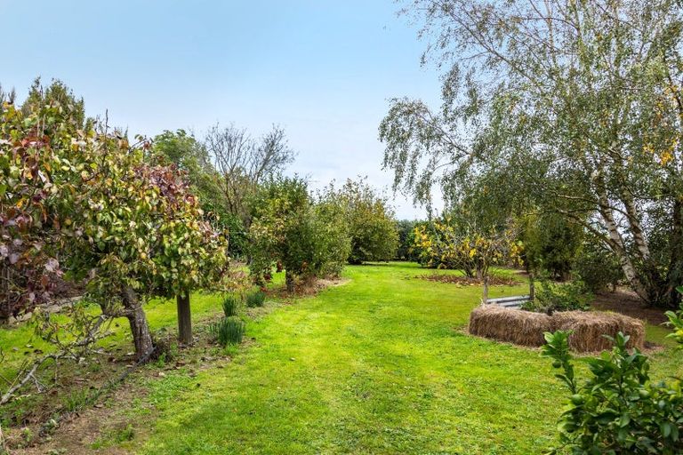 Photo of property in 184 Glenmorven Road, Morison Bush, Greytown, 5794