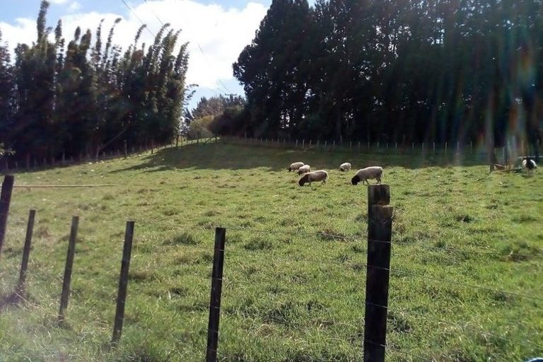 Photo of property in 305 Pungaere Road, Waipapa, Kerikeri, 0295