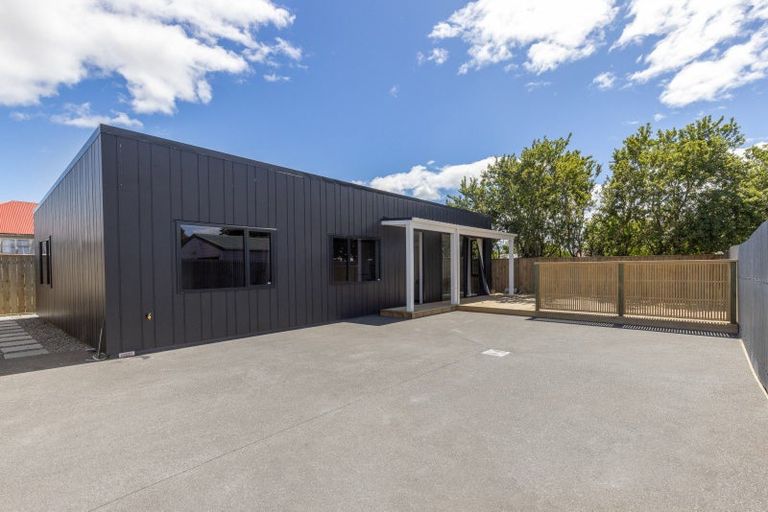 Photo of property in 45a Winchester Street, Levin, 5510