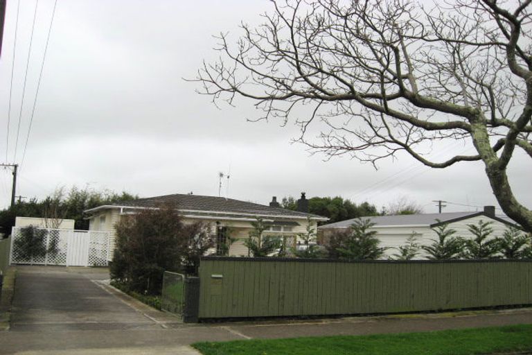 Photo of property in 597 Queen Street East, Levin, 5510