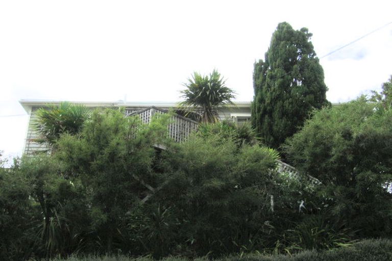 Photo of property in 3 Manley Terrace, Newtown, Wellington, 6021
