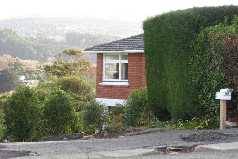 Photo of property in 65 Pitcairn Street, Belleknowes, Dunedin, 9011