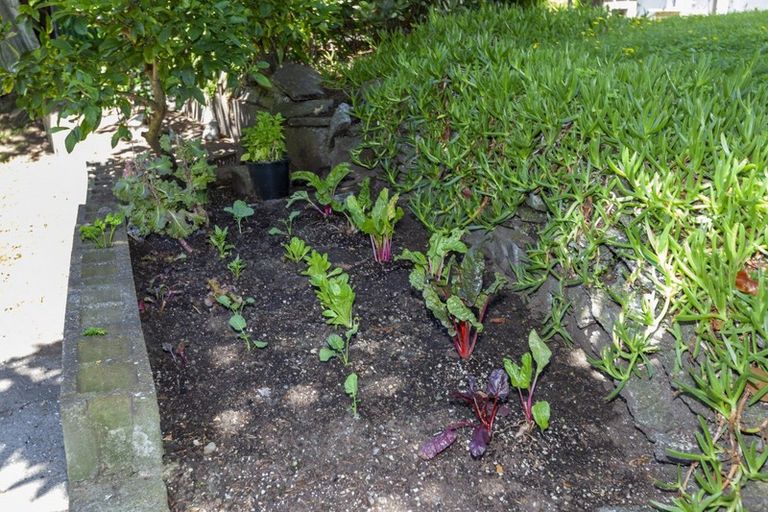 Photo of property in 46 Glen Road, Raumati South, Paraparaumu, 5032