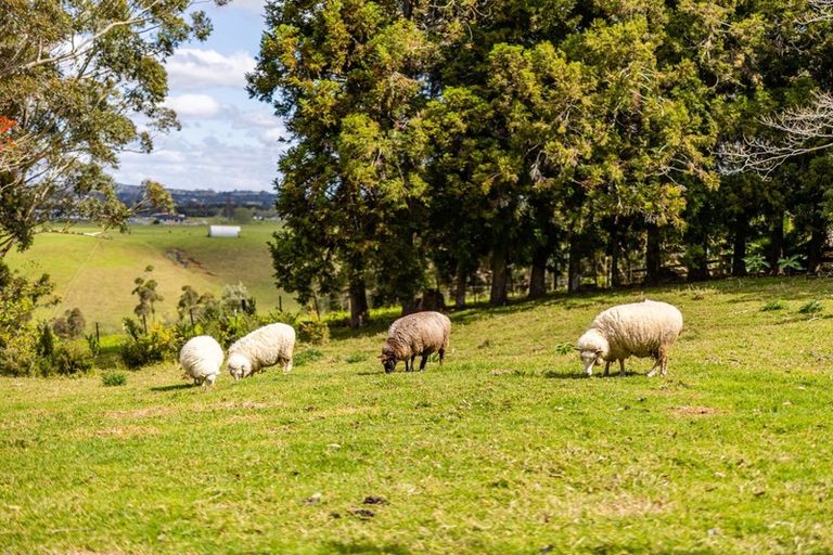 Photo of property in 284 Kapiro Road, Kerikeri, 0294