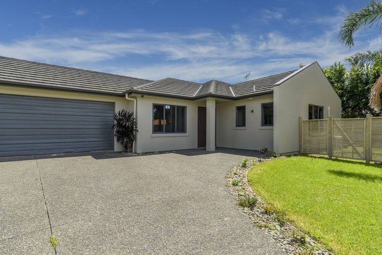 Photo of property in 113 Solomon Street, Brookfield, Tauranga, 3110