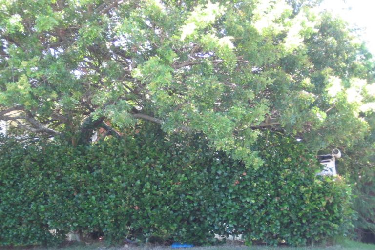 Photo of property in 17 Mayall Avenue, Beach Haven, Auckland, 0626