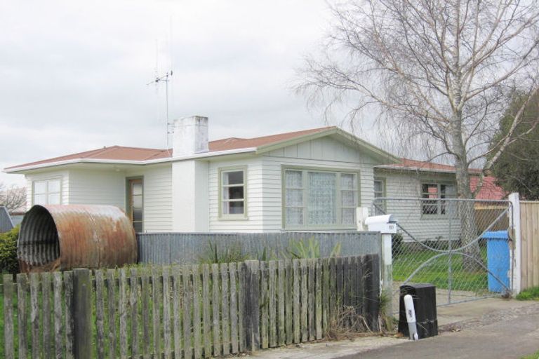 Photo of property in 157 Liverpool Street, Levin, 5510