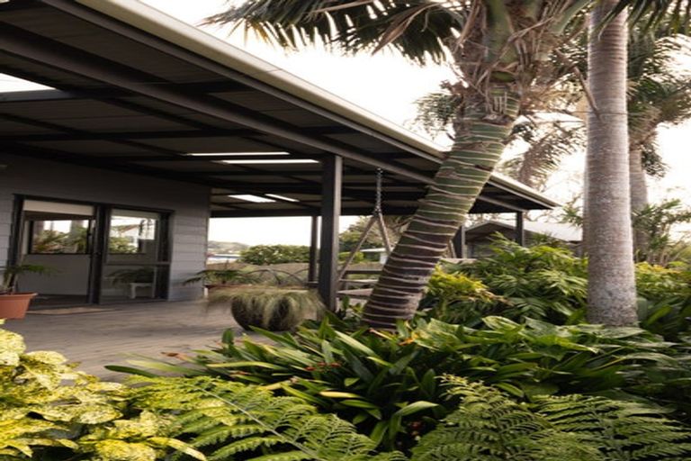 Photo of property in 24 Moir Street, Mangawhai, 0505