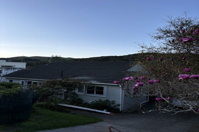 Photo of property in 94 Hill Road, Belmont, Lower Hutt, 5010