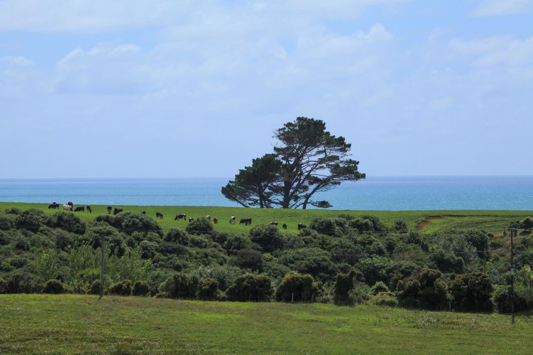 Photo of property in 56 Te Ahiawa Road, Raglan, 3297