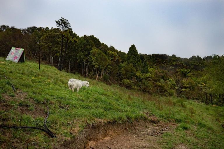 Photo of property in 376 Rutherglen Road, Marsden, Greymouth, 7805