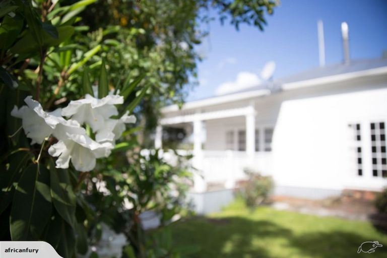 Photo of property in 6 Main Street, Greytown, 5712