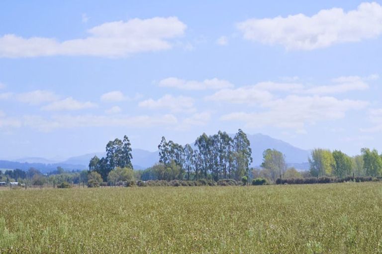 Photo of property in 175 Harleston Road, Sefton, 7477