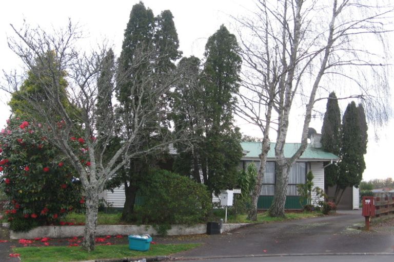 Photo of property in 15 Alanbrooke Place, Beerescourt, Hamilton, 3200