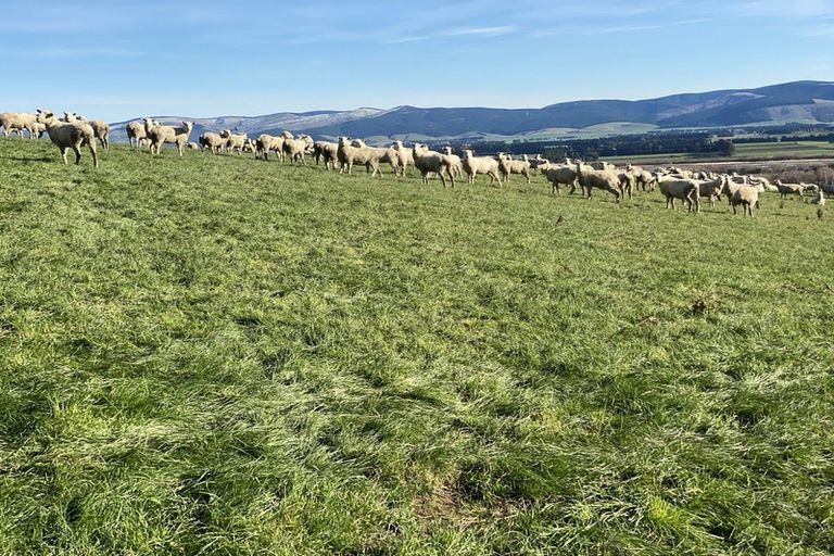 Photo of property in 125-127 Bell Road, Waiwhetu, Lower Hutt, 5010