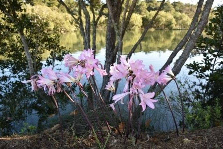 Photo of property in 49 Vale Road, Riverside, Whangarei, 0112