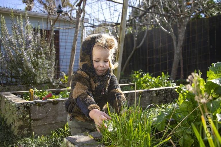 Photo of property in 15 Albert Street, Riverhead, 0820