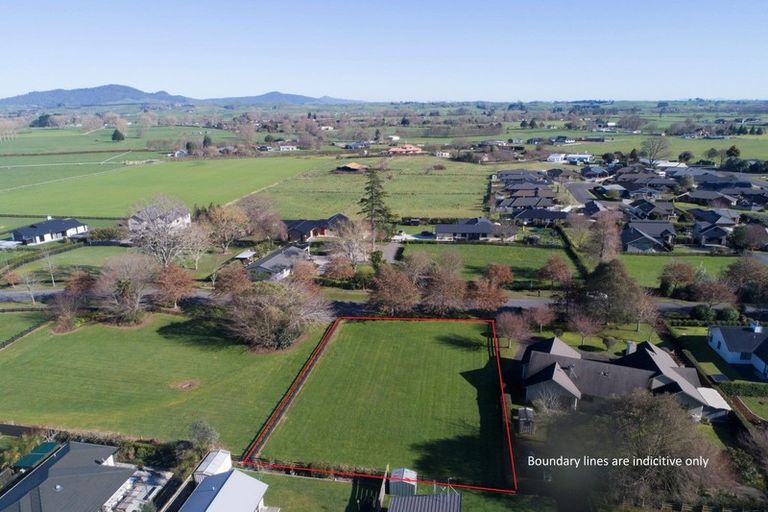 Photo of property in 11 Eldonwood Drive, Matamata, 3400