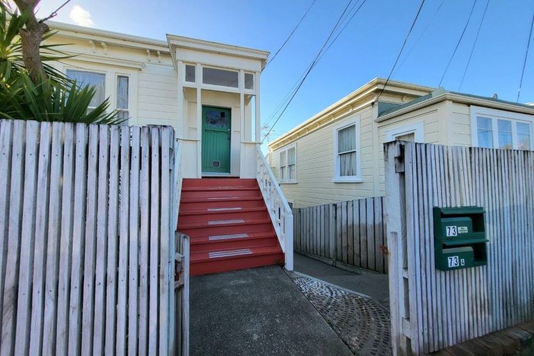 Photo of property in 73 Wilson Street, Newtown, Wellington, 6021