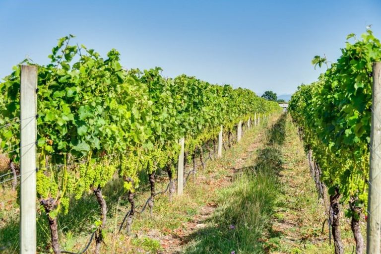 Photo of property in 238 Stock Road, Bridge Pa, Hastings, 4175