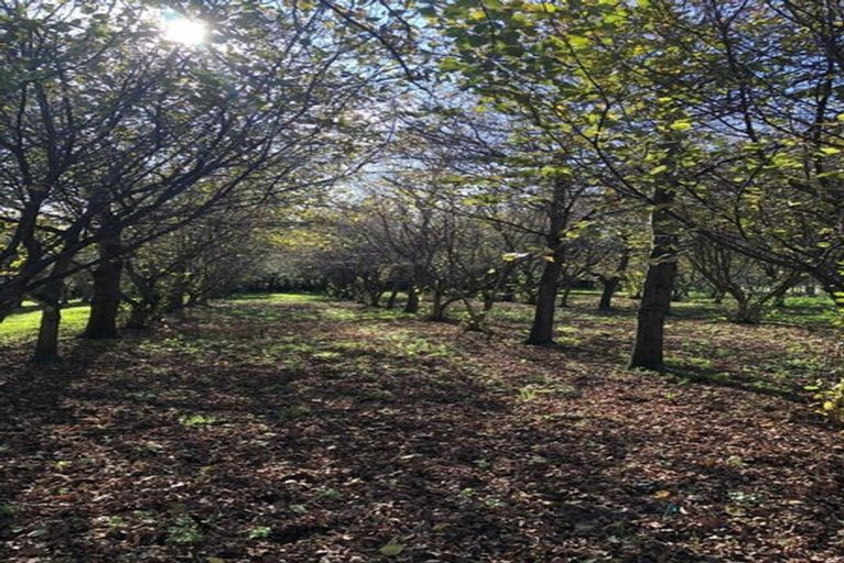 Photo of property in 466 Jeffersons Line, Marton, 4788