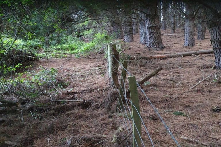 Photo of property in 44 Waikana Street, Broad Bay, Dunedin, 9014