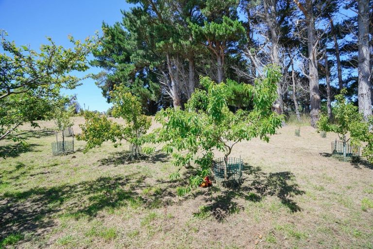 Photo of property in 367 Oreti Road, Otatara, Invercargill, 9879