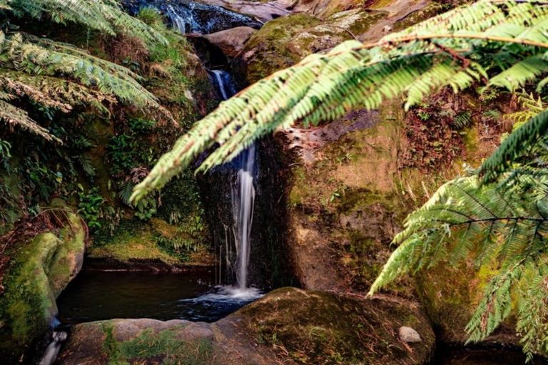 Photo of property in 115 Ngatitangata Road, Waihi, 3681