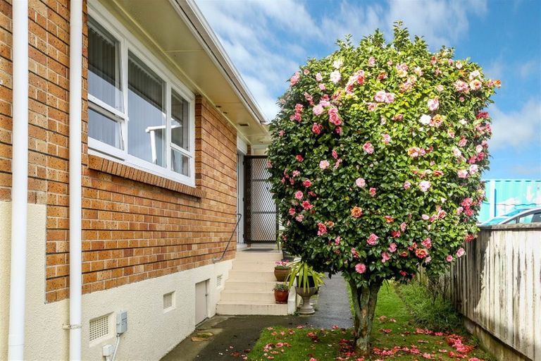 Photo of property in 264a Courtenay Street, Strandon, New Plymouth, 4312