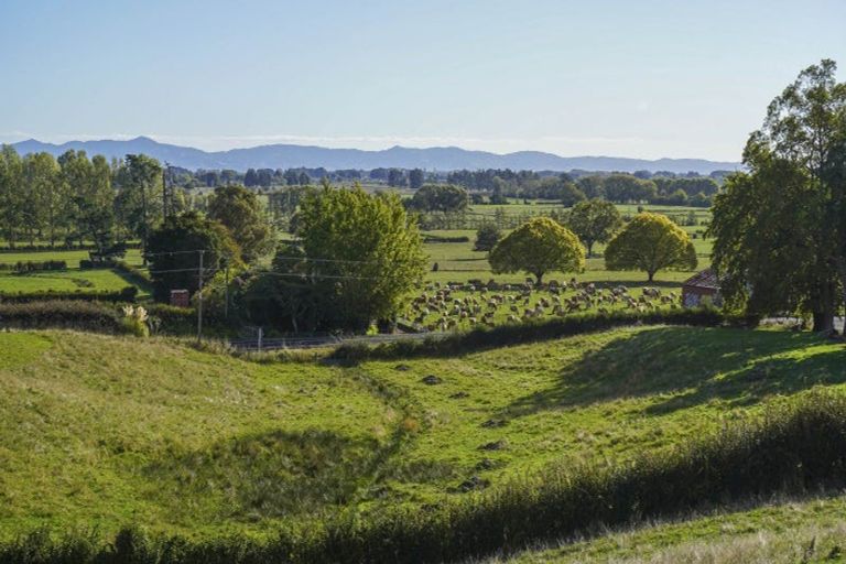 Photo of property in 48 Morrison Road, Taneatua, 3123