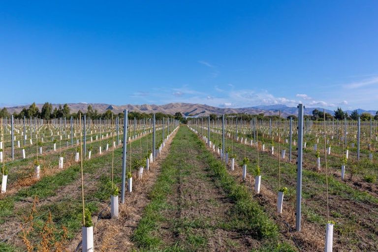 Photo of property in 365 Jones Road, Grovetown, Blenheim, 7273