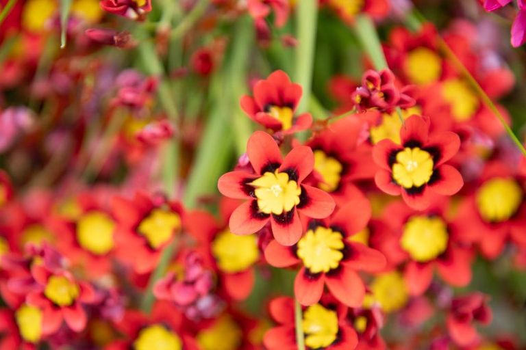 Photo of property in 38 Sidlaw Street, Strathmore Park, Wellington, 6022