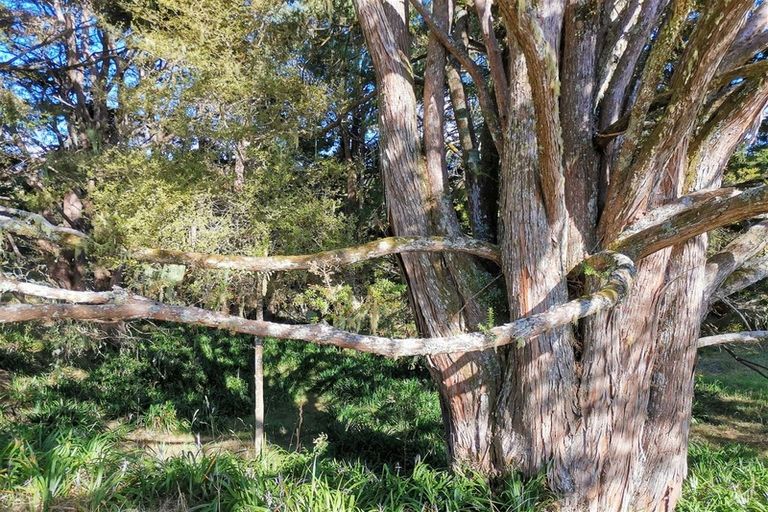 Photo of property in 356 Te Tio Road, Umawera, Okaihau, 0476