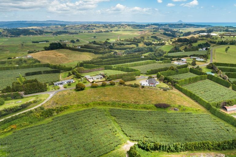 Photo of property in 485 Paerata Ridge Road, Waiotahe, Opotiki, 3198