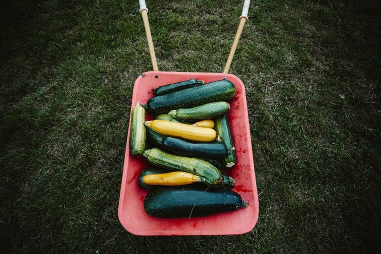 Photo of property in 17 Pekanga Drive, Fox Glacier, 7886