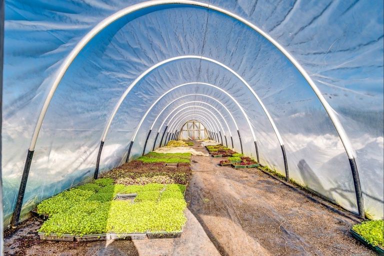 Photo of property in 11 Kauru Road, Waipatu, Hastings, 4172