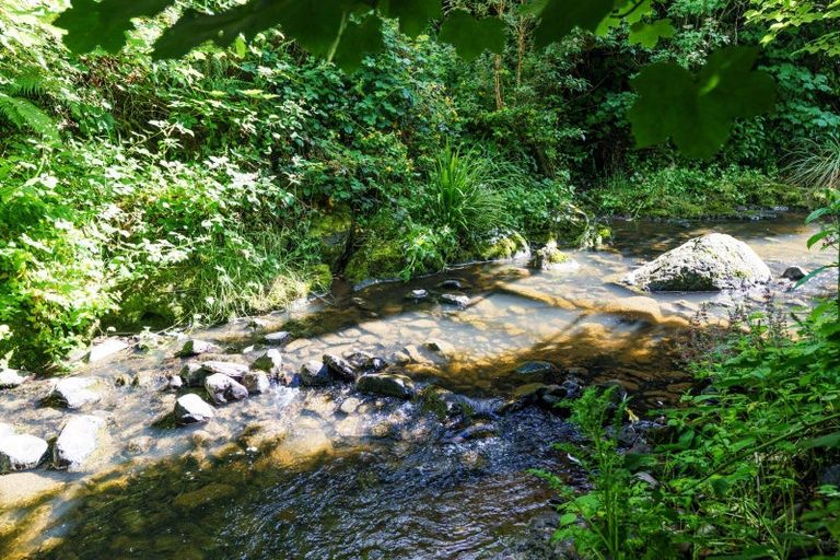 Photo of property in 33 Tannadice Street, Normanby, Dunedin, 9010