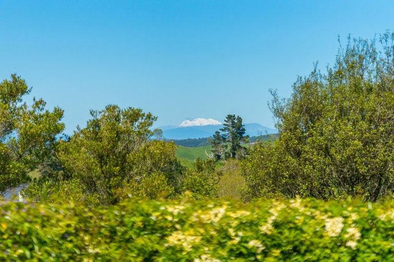 Photo of property in 153 Palmer Mill Road, Wairakei, Taupo, 3384