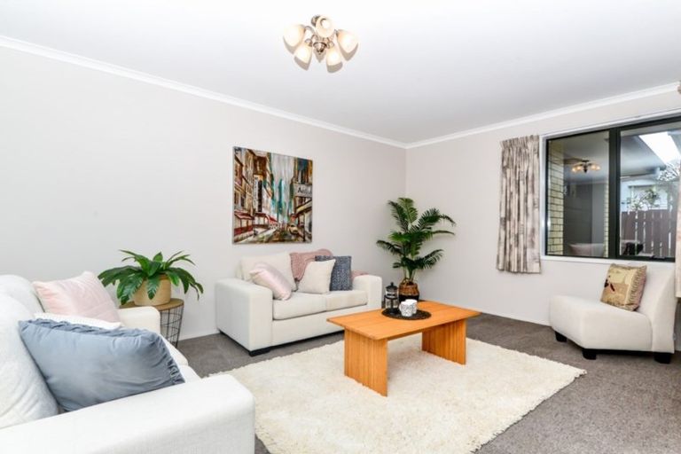 Photo of property in 19 Goodall Street, Dinsdale, Hamilton, 3204