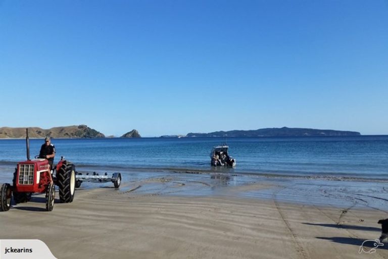 Photo of property in 24 Matapaua Bay Road, Opito Bay, Whitianga, 3592